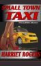 Small Town Taxi (Honey Walker Adventures Book 1)