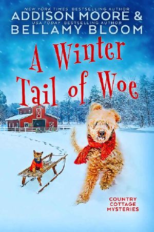 Country Cottage 14 - A Winter Tail of Woe