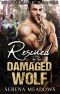 Rescued By The Damaged Wolf: (Lumberjack Wolves)