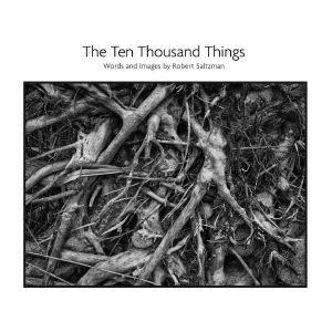 The Ten Thousand Things