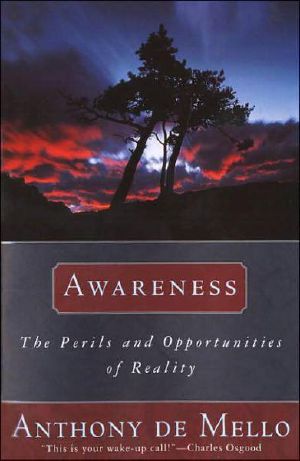 Awareness · the Perils and Opportunities of Reality