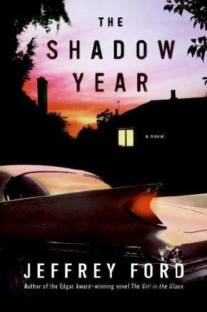 The shadow year