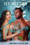 New Tradition · A Christmas Romance (Christmas at Club Solitaire Book 3)