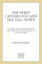 The Spirit Catches You and You Fall Down · A Hmong Child, Her American Doctors, and the Collision of Two Cultures (FSG Classics)