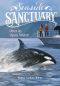 Orca in Open Water, Seaside Sanctuary, Seaside Sanctuary: Orca in Open Water