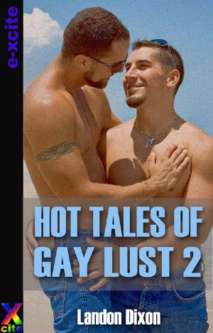 Hot Tales of Gay Lust 2