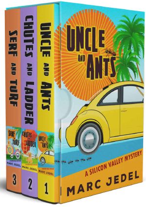 Silicon Valley Cozy Mystery Series Box Set: Books 1-3 (Silicon Valley Cozy Mysteries Box Set)