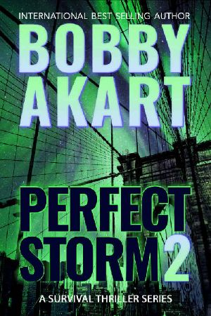 Perfect Storm 2: Post Apocalyptic Survival Thriller (Perfect Storm Series)