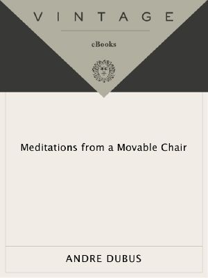 Meditations From a Movable Chair