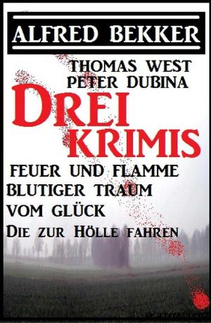 Feuer und Flamme / Blutiger Traum vom Glück / Die zur Hölle fahren · 3 Krimis