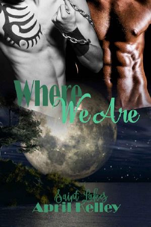 Where We Are (Saint Lakes Book 4)