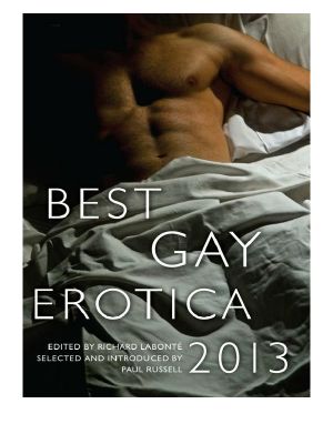 Best Gay Erotica 2013