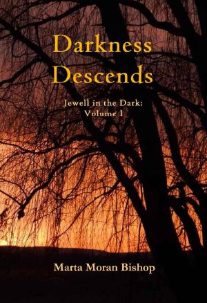 Darkness Descends (Jewell in the Dark Book 1)