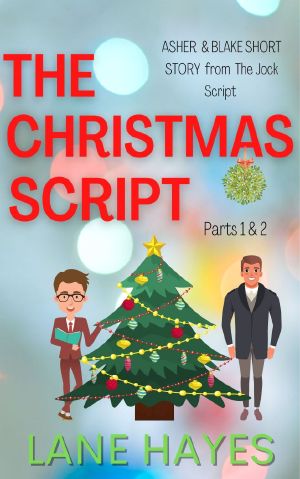 Das Weihnachtsskript (The Christmas Script)