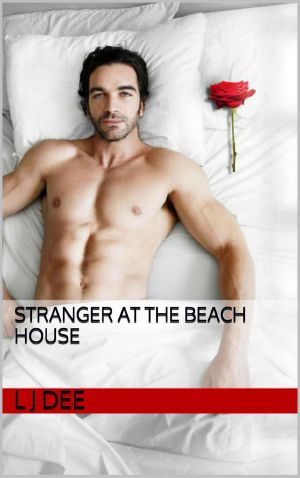 Stranger at the beach house