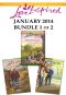 Love Inspired January 2014 - Bundle 1 of 2 · Her Unexpected Cowboy\His Ideal Match\The Rancher's Secret Son