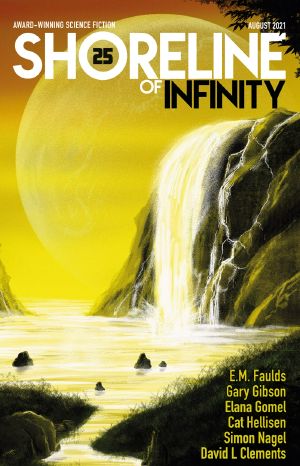 Shoreline of Infinity 25