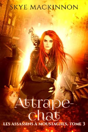 Attrape-chat