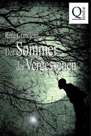 Der Sommer der Vergessenen · Band 1 von 2