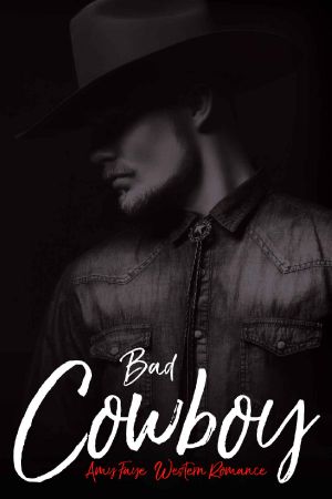 Bad Cowboy · Western Romance