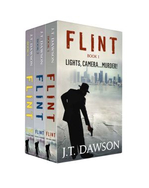 Detective Flint Box Set · A Detective Story Box Set Books 1-3