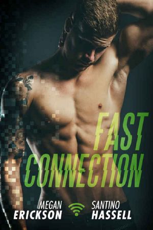 Fast Connection (Cyberlove #2)