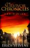 The Survivor Chronicles (Book 2): The Divide