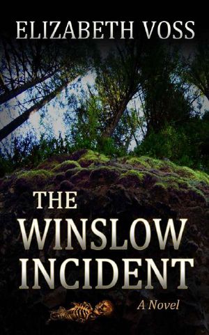 The Winslow Incident