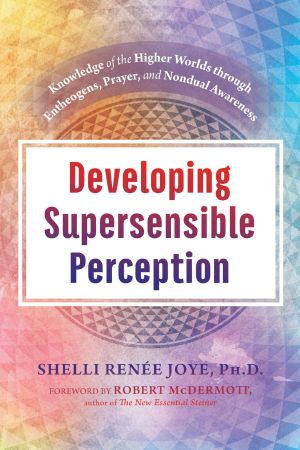 Developing Supersensible Perception