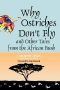 Why Ostriches Don't Fly and Other Tales From the African Bush (World Folklore)