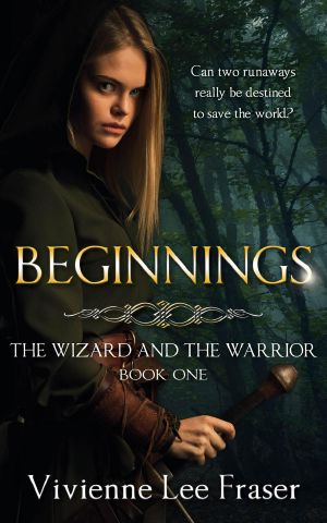 Beginnings (The Wizard and the Warrior, #1)
