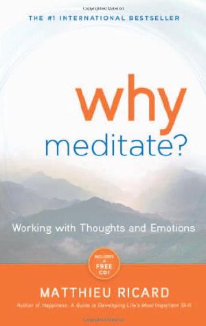 Why Meditate · Working With Thoughts and Emotions