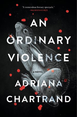 An Ordinary Violence