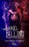 Angel Falling (Embers Duology, #2)