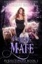 Prowling Their Mate · A BBW Fated Mates Paranormal Romance (Perfect Pairs Book 1)