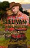 Sullivan · Cowboy Protector · the Kavanagh Brothers Book 4