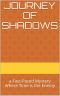 Journey of Shadows: a Fast-Paced Mystery Where Time is the Enemy