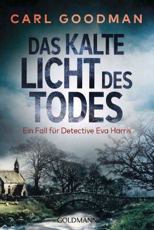 Detective Eva Harris 01 - Das kalte Licht des Todes