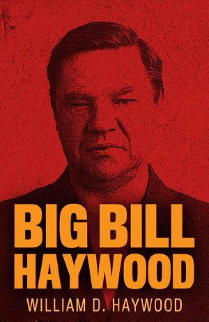 Big Bill Haywood · the Autobiography of William D. Haywood