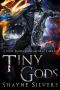 Tiny Gods · A Nate Temple Supernatural Thriller Book 6 (The Temple Chronicles)