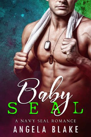 Baby Seal: A Navy Seal Romance