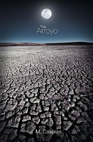 The Arroyo