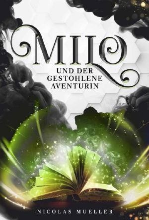 Milo und der gestohlene Aventurin · Abenteuerroman