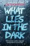 What Lies in the Dark