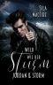 Wild wie der Sturm - Jordan & Storm (German Edition)