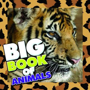 Big Book of Animals (Books For Kids Series)