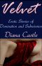 Velvet · Erotic Stories of Domination and Submission