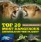 Top 20 Most Dangerous Animals On The Planet