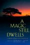 A Magic Still Dwells · Comparative Religion in the Postmodern Age