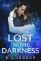 Lost in the Darkness (The Lost and Found Series Book 1)